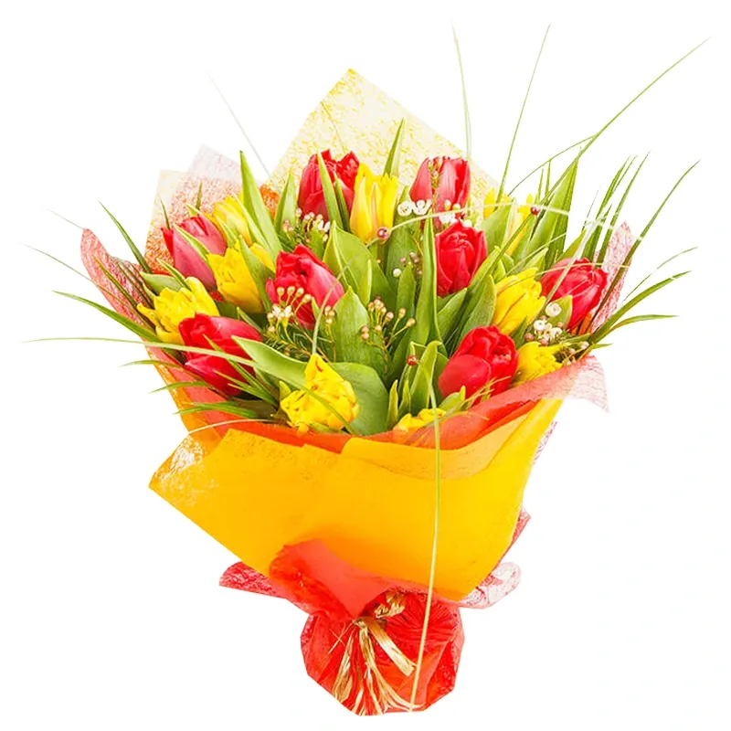 25 пионовидных разноцветных тюльпанов