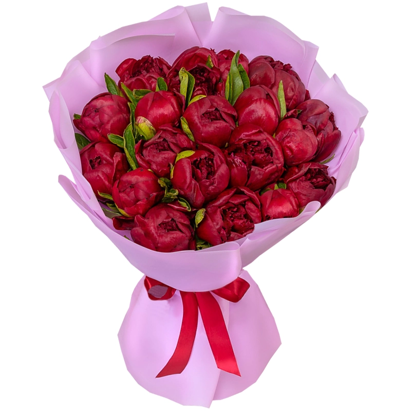 Букет из 19 красных пионов