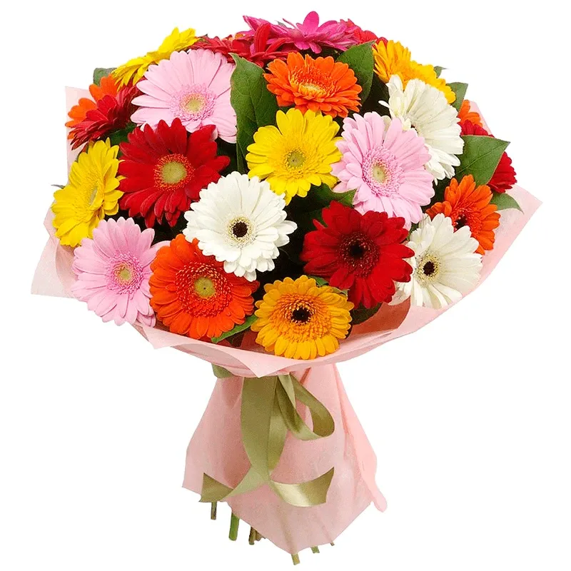 Букет из гербер «Увенчанный славой»