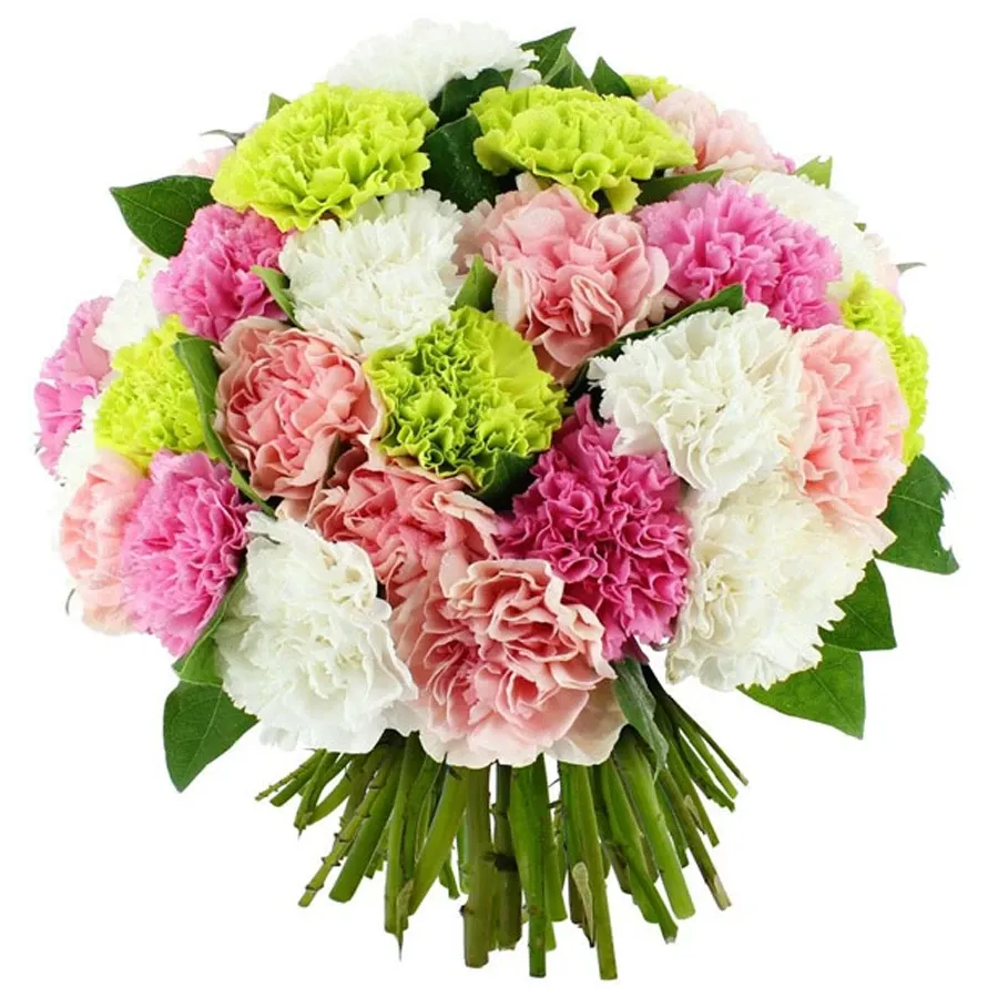 Гвоздики нежный микс